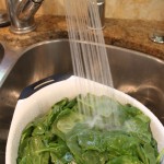 cleaning the spinach