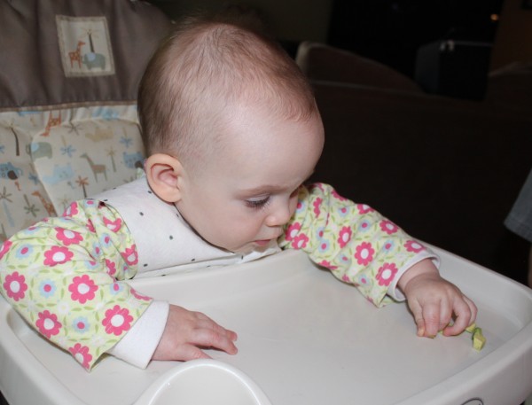 Cassie eating avocado